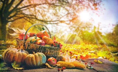 Autumn harvest scene