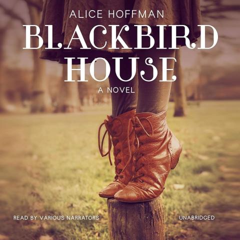 Cover to Blackbird House - Booted feet on tiptoes on a post