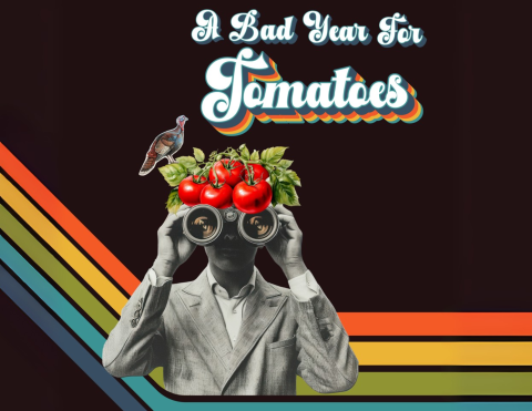 man holding binoculars with tomatoes and a turkey on his head