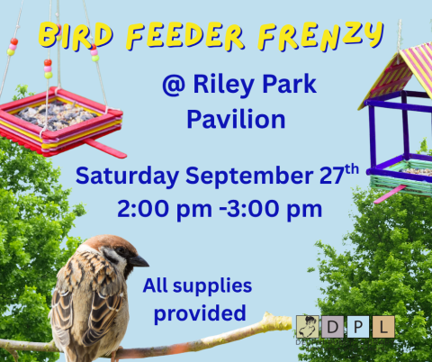 Bird feeder frenzy details
