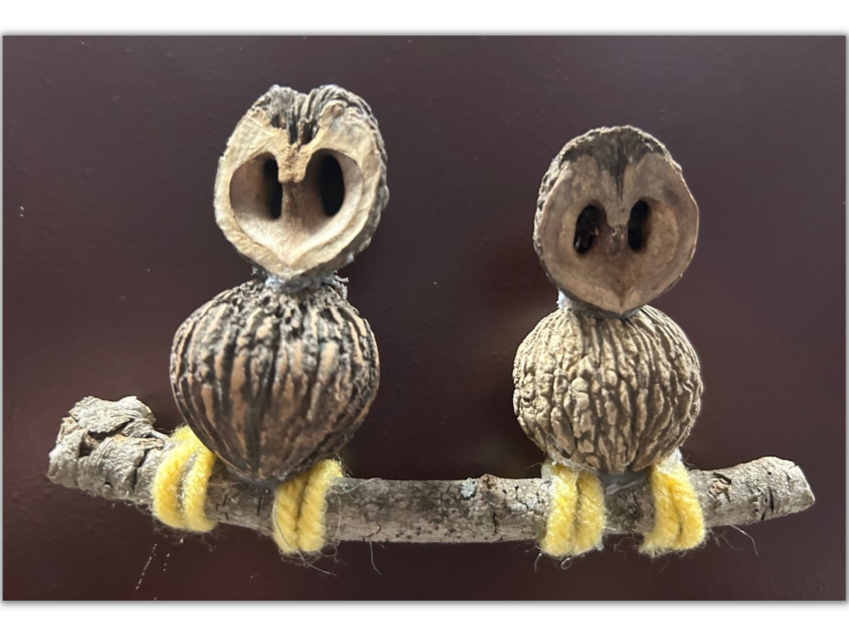 Craft owls made of walnut shells