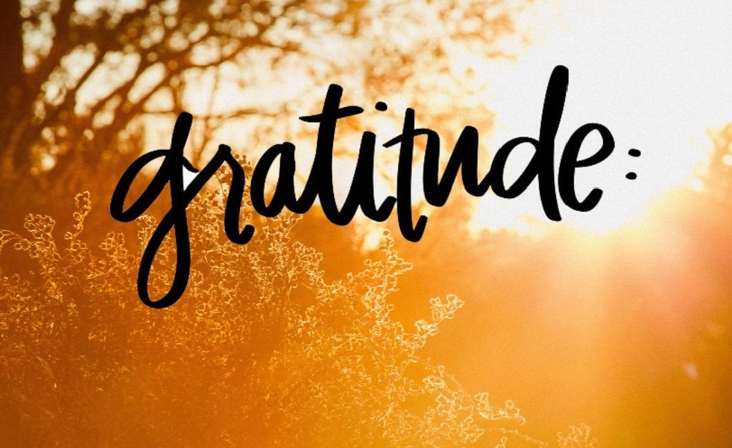 "Gratitude" in black font in front of sunset woods/orange background