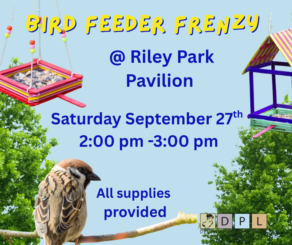 Bird feeder frenzy details